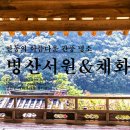채화정 | 안동 병산서원 배롱나무 &amp; 채화정 연꽃
