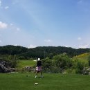 충청도 충북 골프장⛳ 충주 제천 진천 cc🥇 봄라운딩 그린피 정리