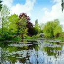 지베르니 이미지