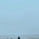 아라크 나인 (ARAC 9) 이미지
