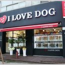 아이러브독 강아지분양 부천점 이미지