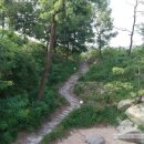 메이 캠프 이미지