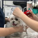 정메디컬 이미지