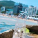 신세계할인마트(송정점) | 송정주조 춈미 추천 월하담12 품절대란 총정리! 청와대 답례품 전통주 구매방법 (2026년 2월까지 매진)