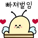 247헤어 이미지