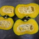 녹색식품님 하우스 미니 밤호박 맛보기 이미지