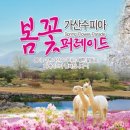 가산수피아 이미지