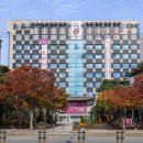 서울안마시술소 이미지