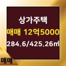 도안황금공인중개사사무소 이미지