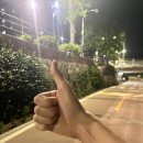 [런린이 일지 #19] 마라톤을 앞두고 성북천 5km 야외런 페이스 심박수