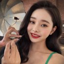 프리지아 이미지