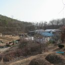 잔다리목장 이미지