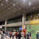 세부 트리쉐이드 드림팩, 시라오팩, 굿바이팩 후기