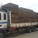 성곡주유소 이미지