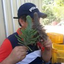 솔골농장 이미지