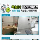 이누스 이미지