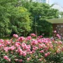 조형물 분수대5 이미지