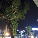 사당역 12번출구 앞 이미지
