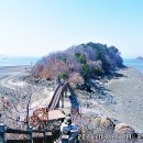 대부해솔길 1코스 이미지