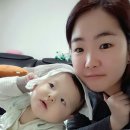 도미노피자평택 이미지