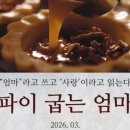 파이