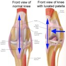 길동물병원 이미지
