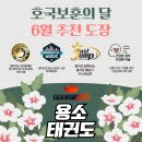 용소태권도 이미지
