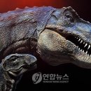 렉스 이미지