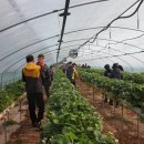 황룡농장 이미지