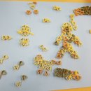 봉황중학교 이미지