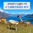 하이츠 | 뉴질랜드 남섬 여행 코스 퀸스타운 디어파크하이츠 공홈 예약 소요시간 먹이 후기
