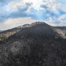 드디어 산불 완전히 진화 - 서울 면적의 80%가 타버렷다 이미지