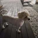 횡성호수펜션 이미지