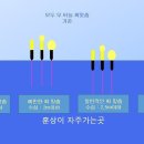 소로낚시터 이미지