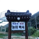황제오리 이미지