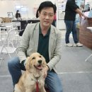 대한반려동물협회 이미지