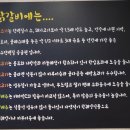 춘천7.9닭갈비 네이버블로그