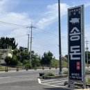 제주 협재 맛집 송돈흑돼지 제주 한림협재점! 신선한 고기와 따뜻한 분위기 감동