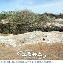 다윗 CO. 이미지