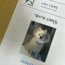 뉴케어 동물병원 이미지