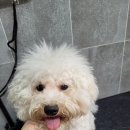 명수유치원