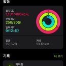 제주 한달살이 DAY 9~12: 한라산, 동화마을, 송당스타벅스, 도토리숲제주점, 빽다방제주함덕점