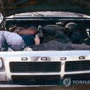 묘화 이미지