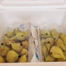 영오농장 이미지