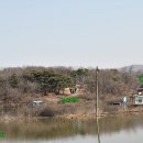 윤삼산 신도비 티스토리