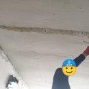 월봉청솔 이미지