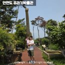 남면 무료경로식당(상수리) | 태안 안면도 아이랑 갈만한곳 쥬라기박물관 주차 식당 후기