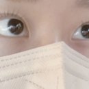에스테틱디어밍