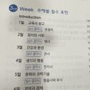 올리비아잉글리시