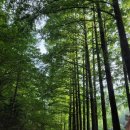 장태산의아침 이미지